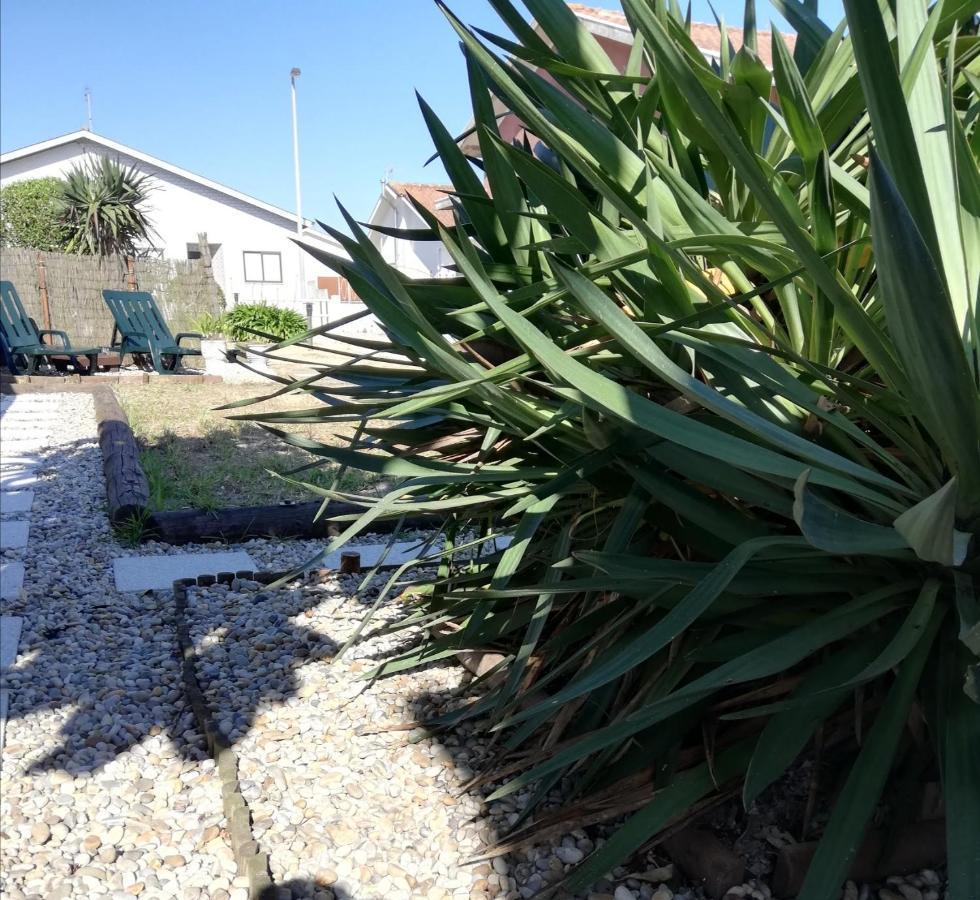 Casa De Praia Vila do Conde Ngoại thất bức ảnh